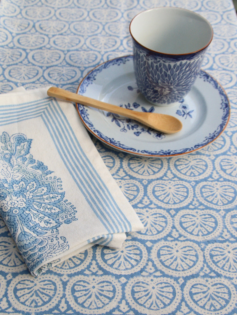 close up seashell blue 